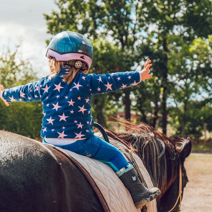 Top Tips For Choosing a Horseback Riding Lesson Program