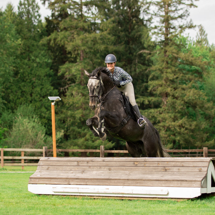 10 Tips For First Time Show Jumpers
