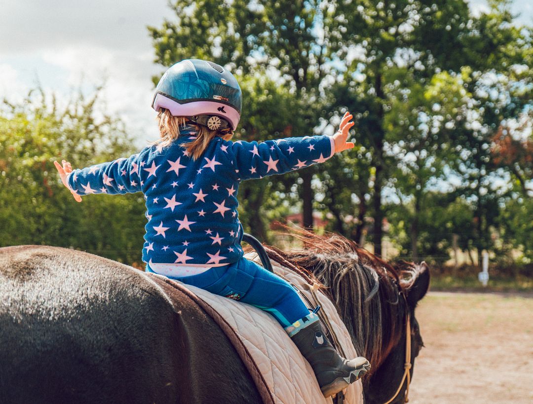 Top Tips For Choosing a Horseback Riding Lesson Program